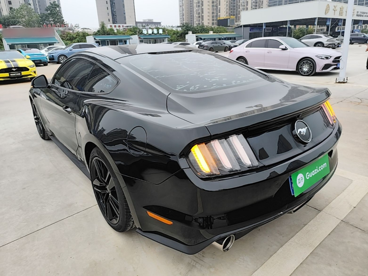 Mustang 2015 2.3T Performance photo 4