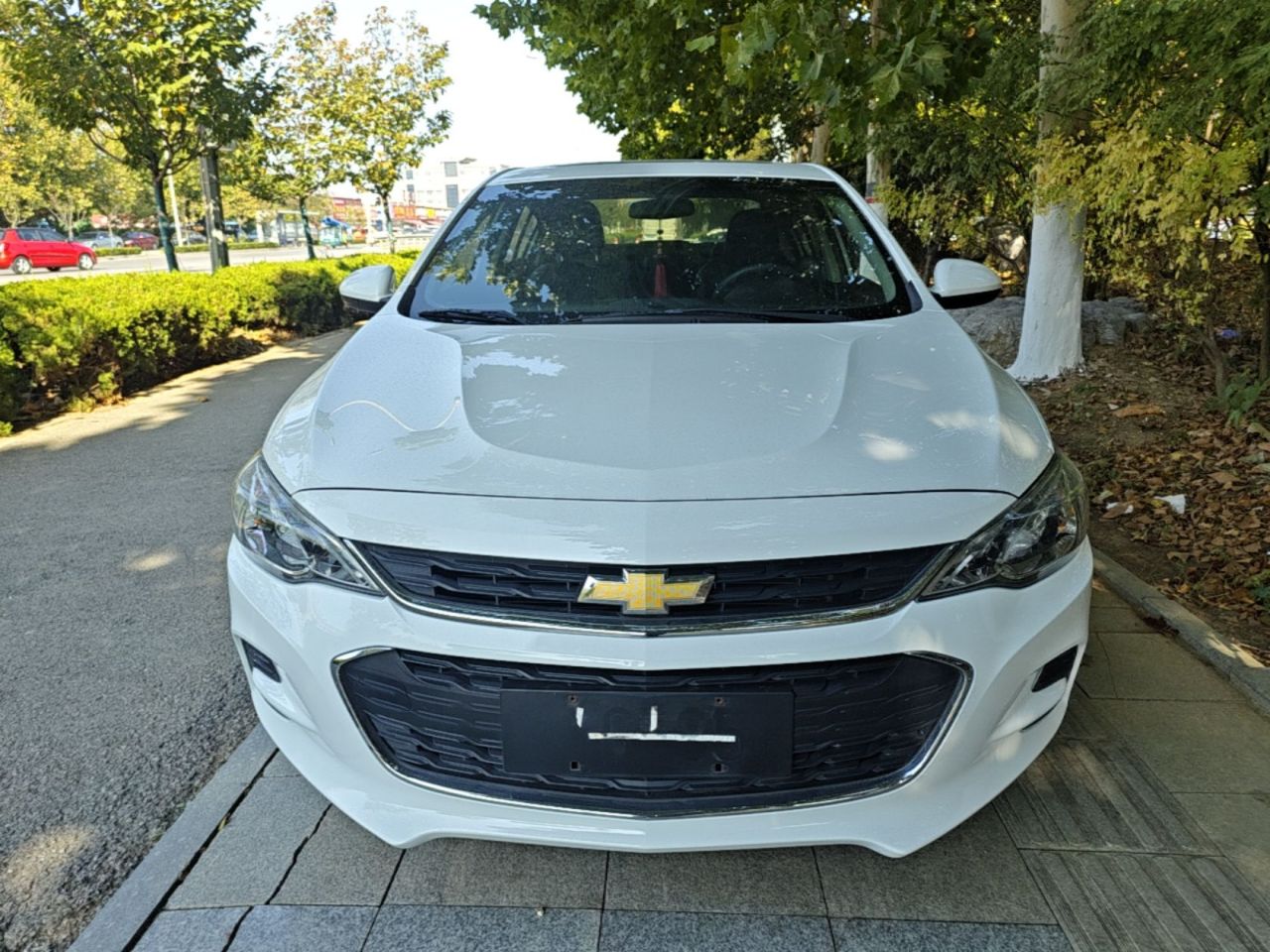 Cavalier 2019 320 AT photo 2