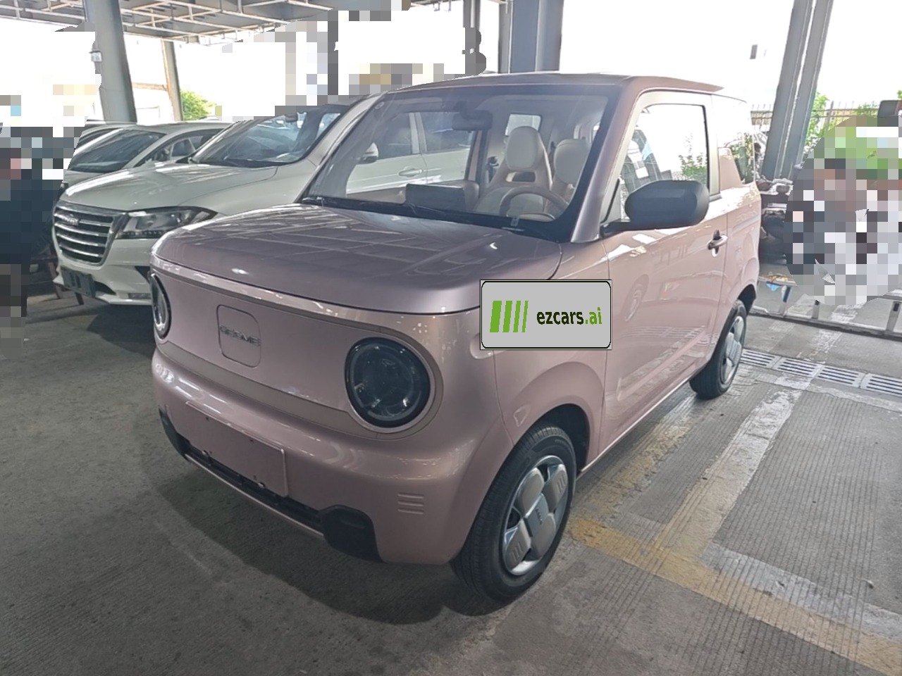 2023 Panda mini 200km Endurance Bear