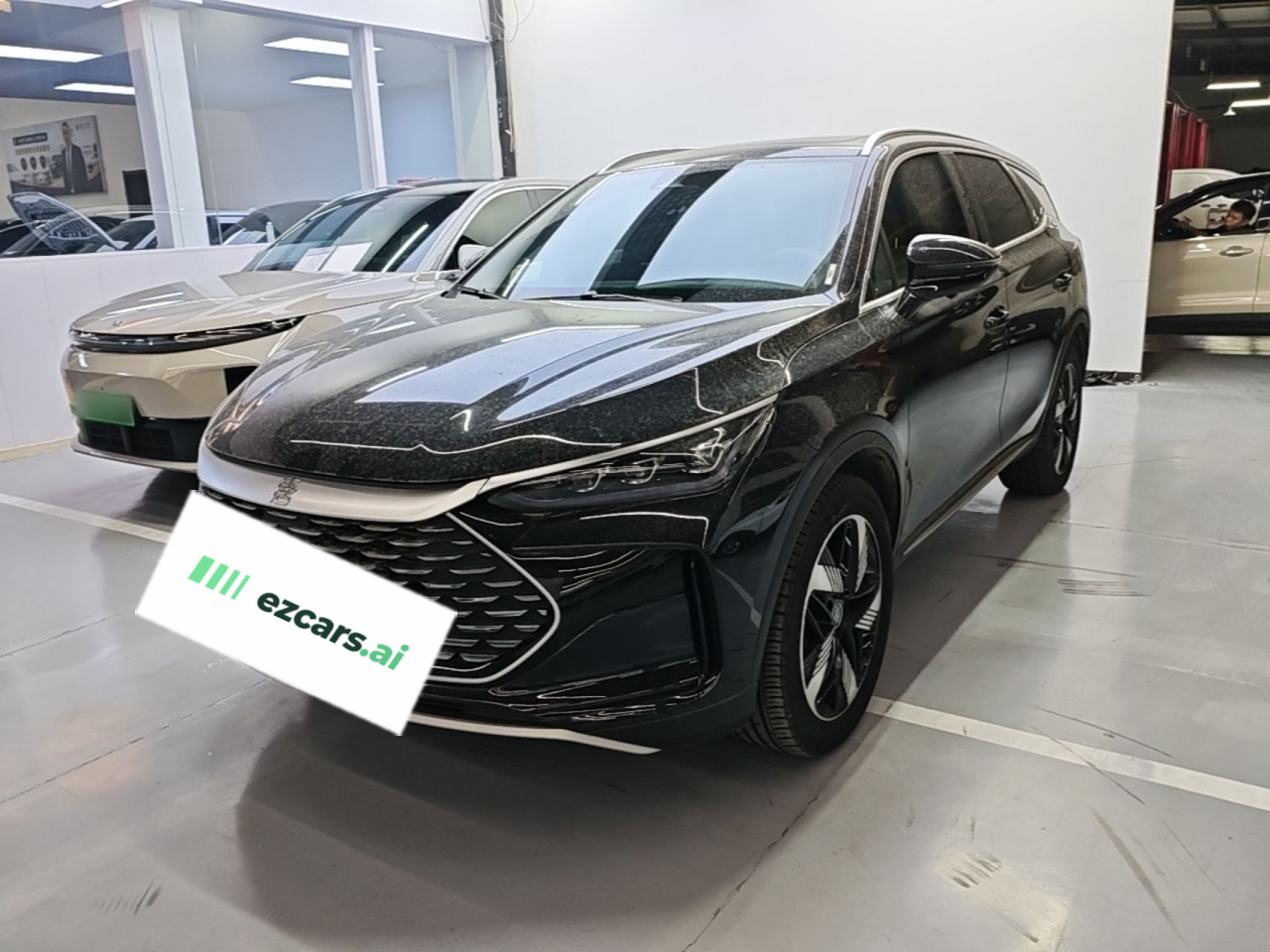 Tang EV 2024 DM-i Honor 112KM Premium