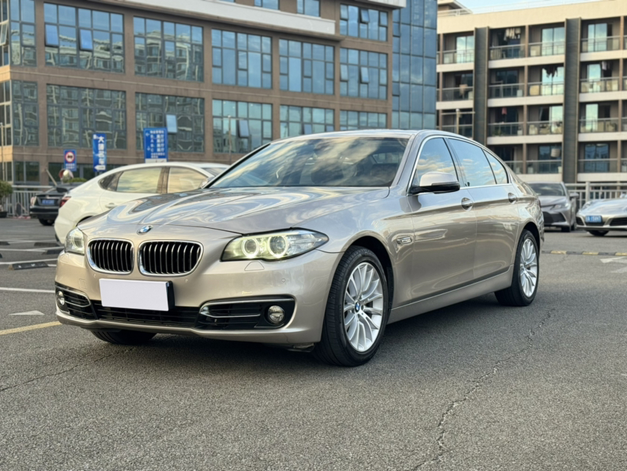 5 Series 2014 525Li Luxury Design Package