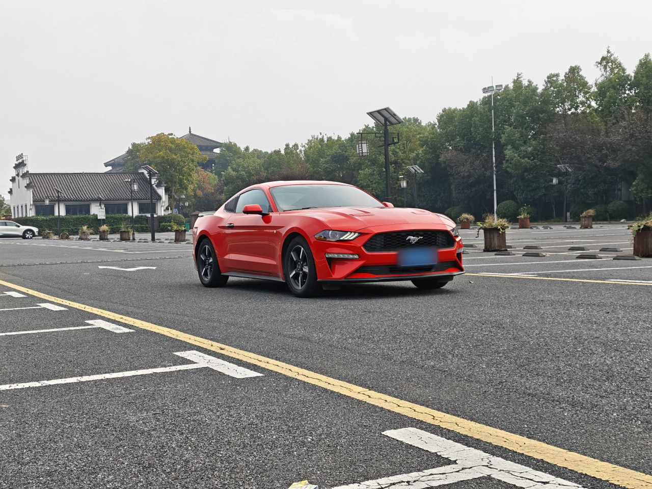 Mustang Parallel Import photo 5