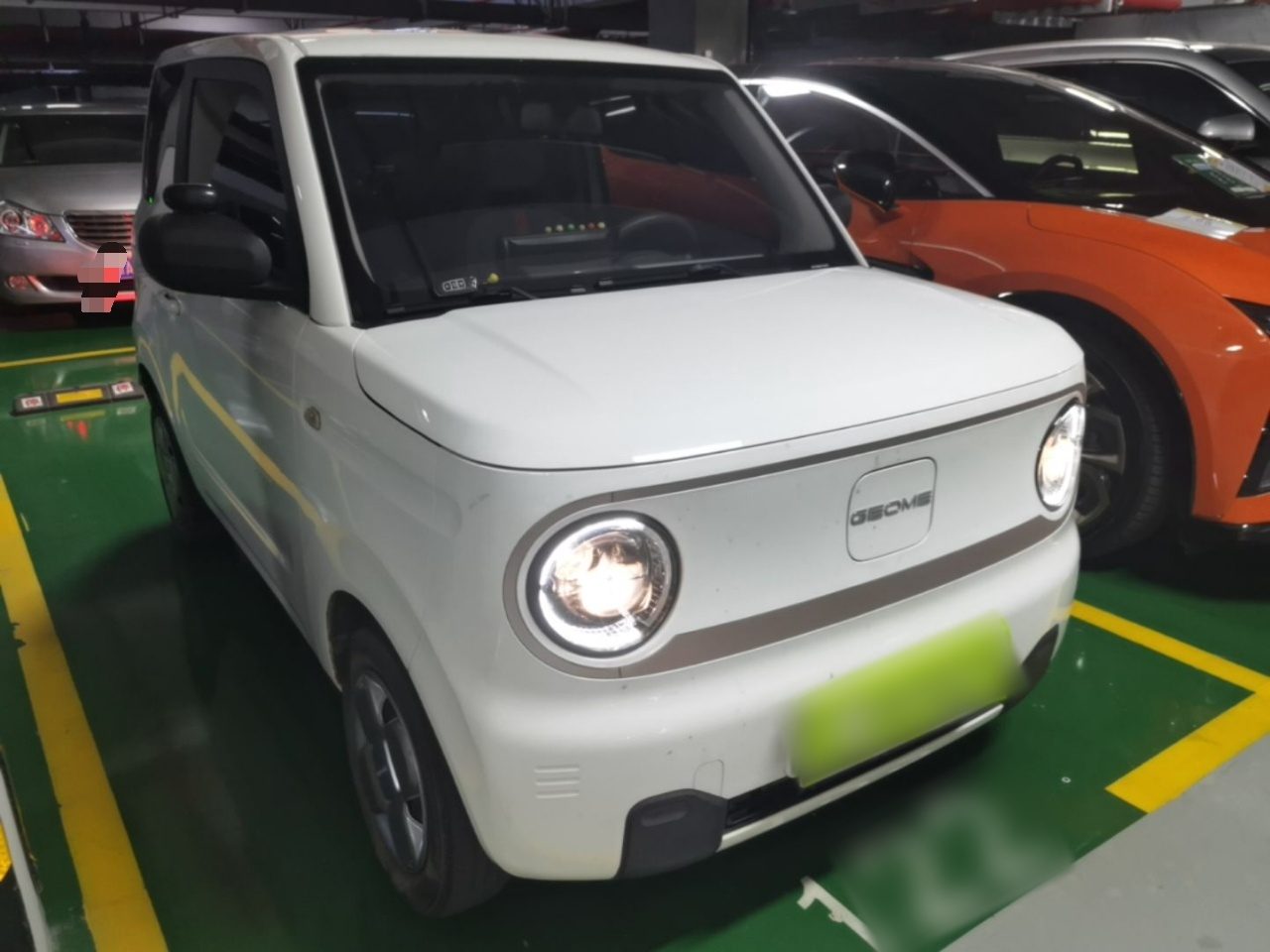 2023 Panda mini 200km Endurance Bear photo 3