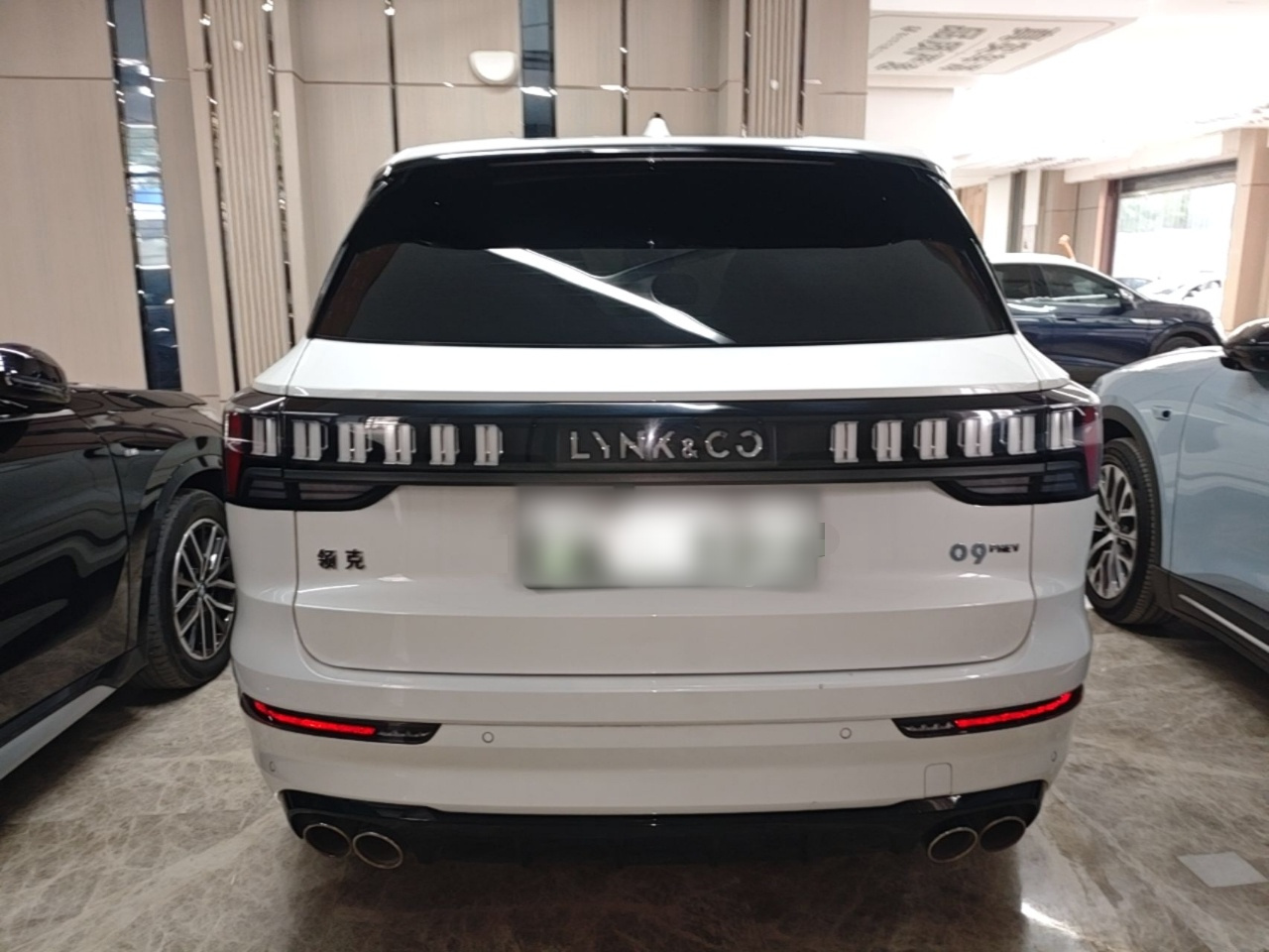 09 EM-P 2021 2.0T PHEV Halo 7-Seater photo 5