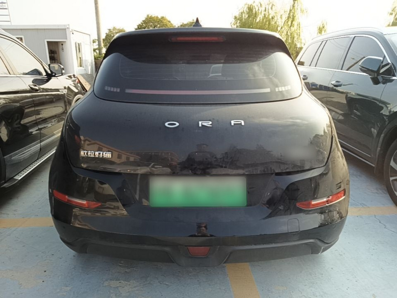 Good Cat 2022 400km Standard Range Premium LFP photo 3