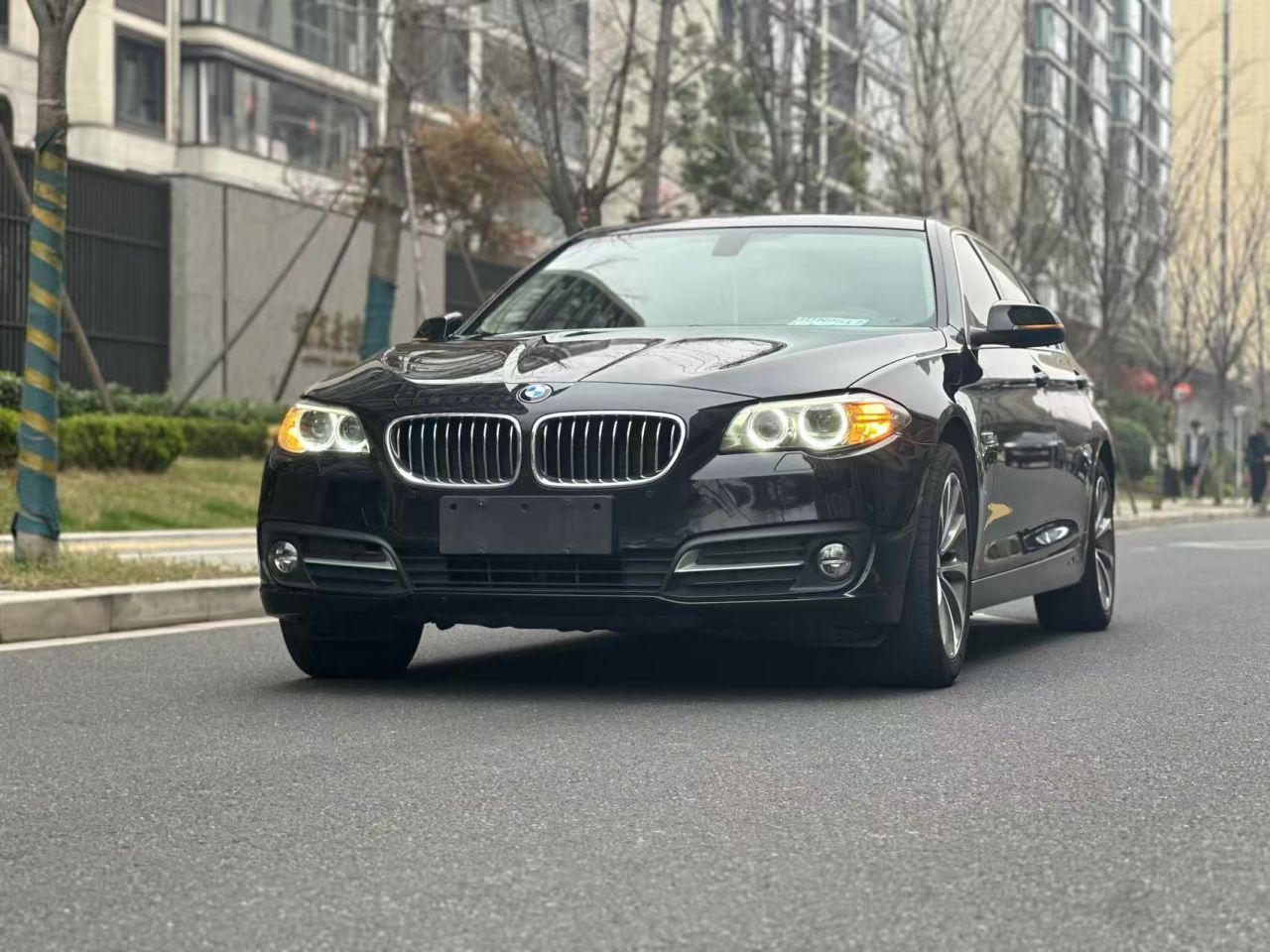 5 Series 2017 525Li Leading