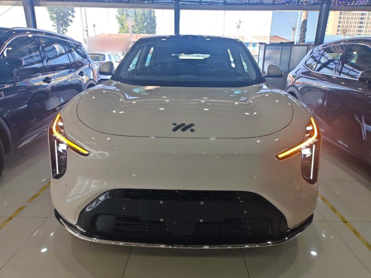 IM Motors LS6 2026 EV Max photo 2