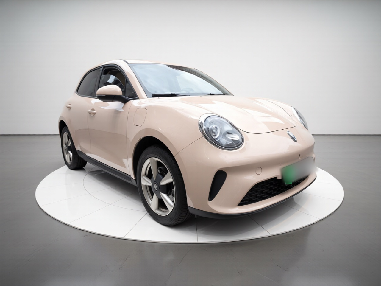 Good Cat 2025 430km Luxury photo 3