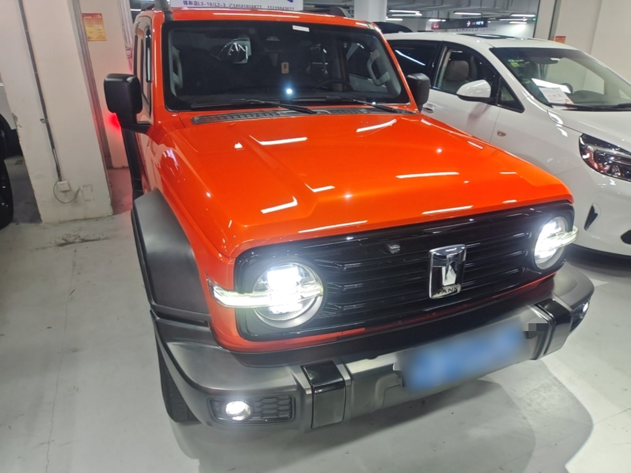 300 2021 Off-road 2.0T Conqueror photo 2