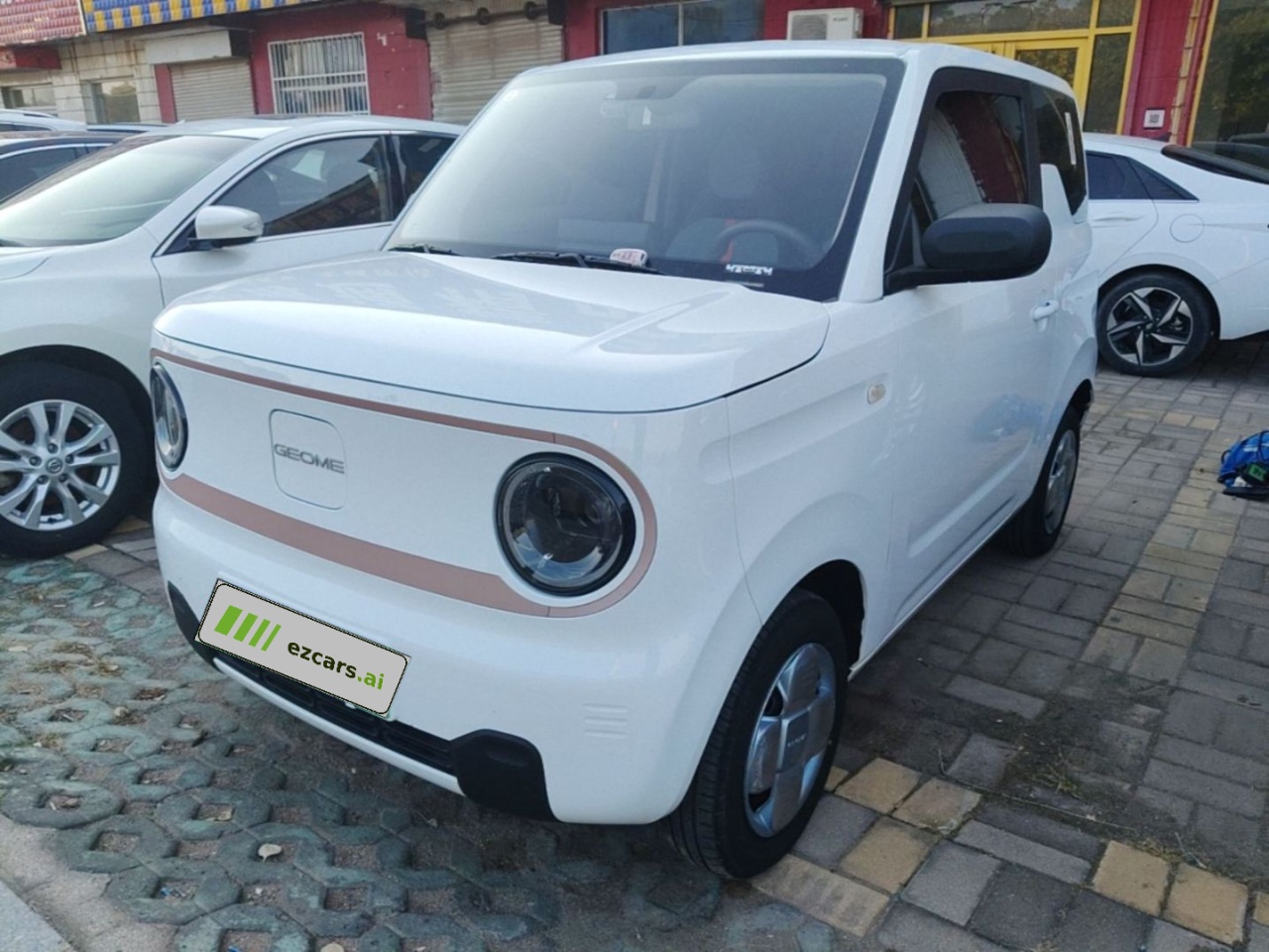 2024 Panda mini 200km Endurance Bear