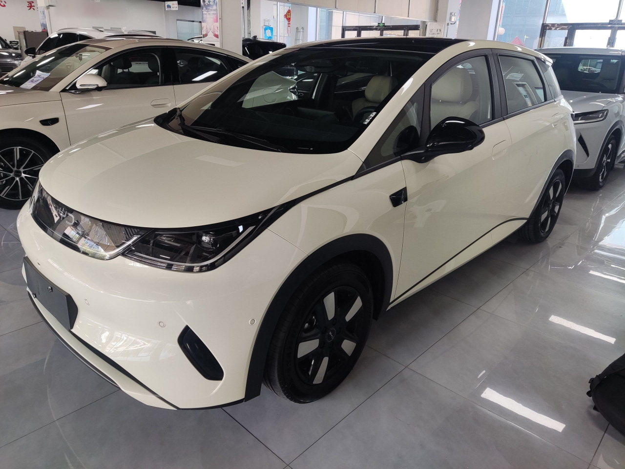 Dolphin 2025 ADAS 410km Fashion