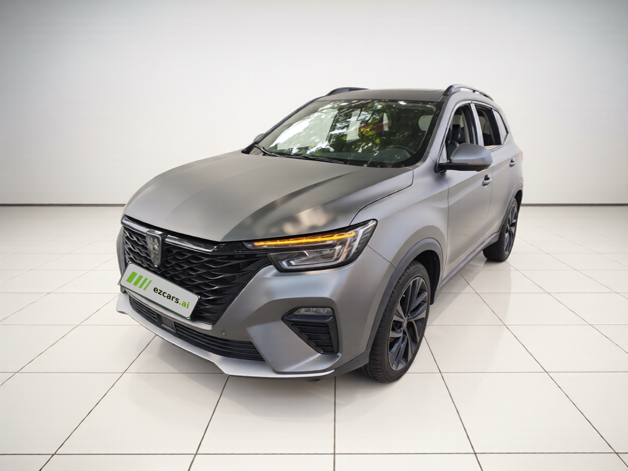 RX5 EV 2020 ePLUS Flagship