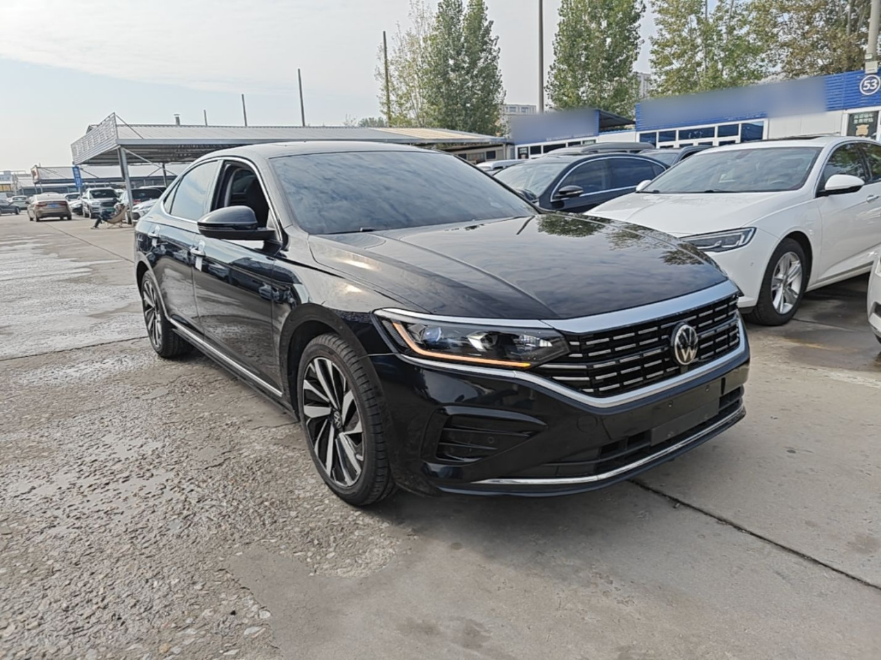 Passat 2022 330TSI Elite photo 5