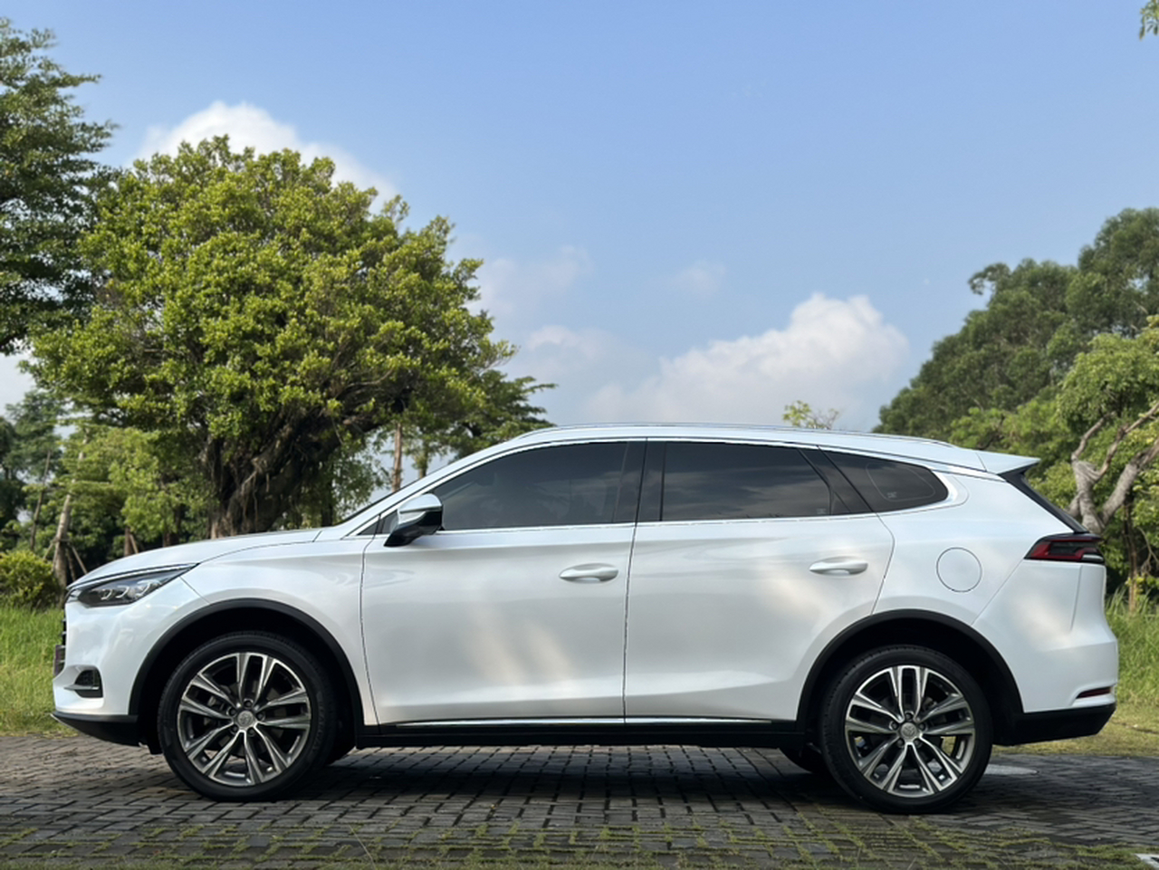 Tang 2019 2.0T AT Connected Noble 7-Seater China VI photo 2