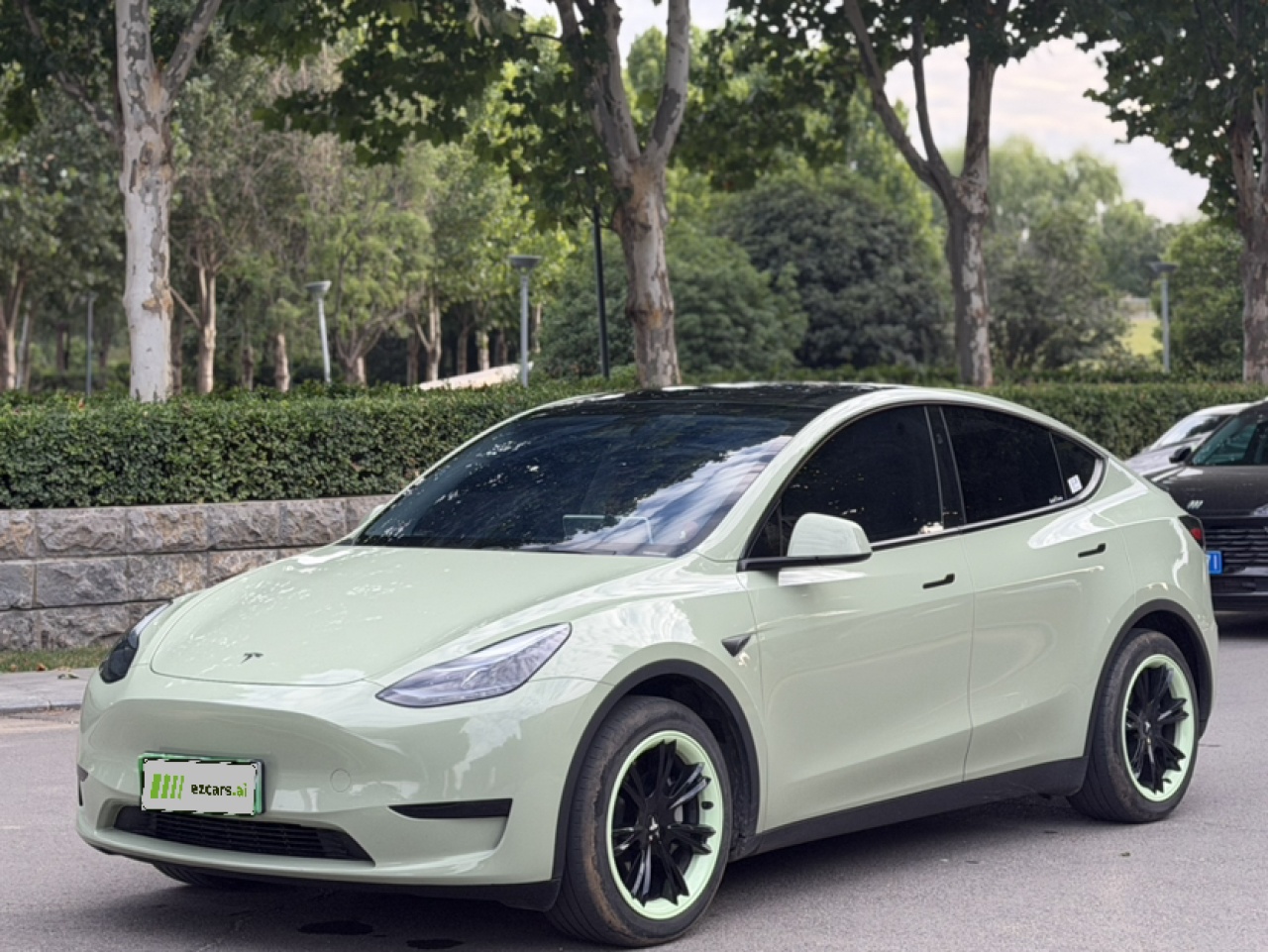 Model Y 2024 RWD