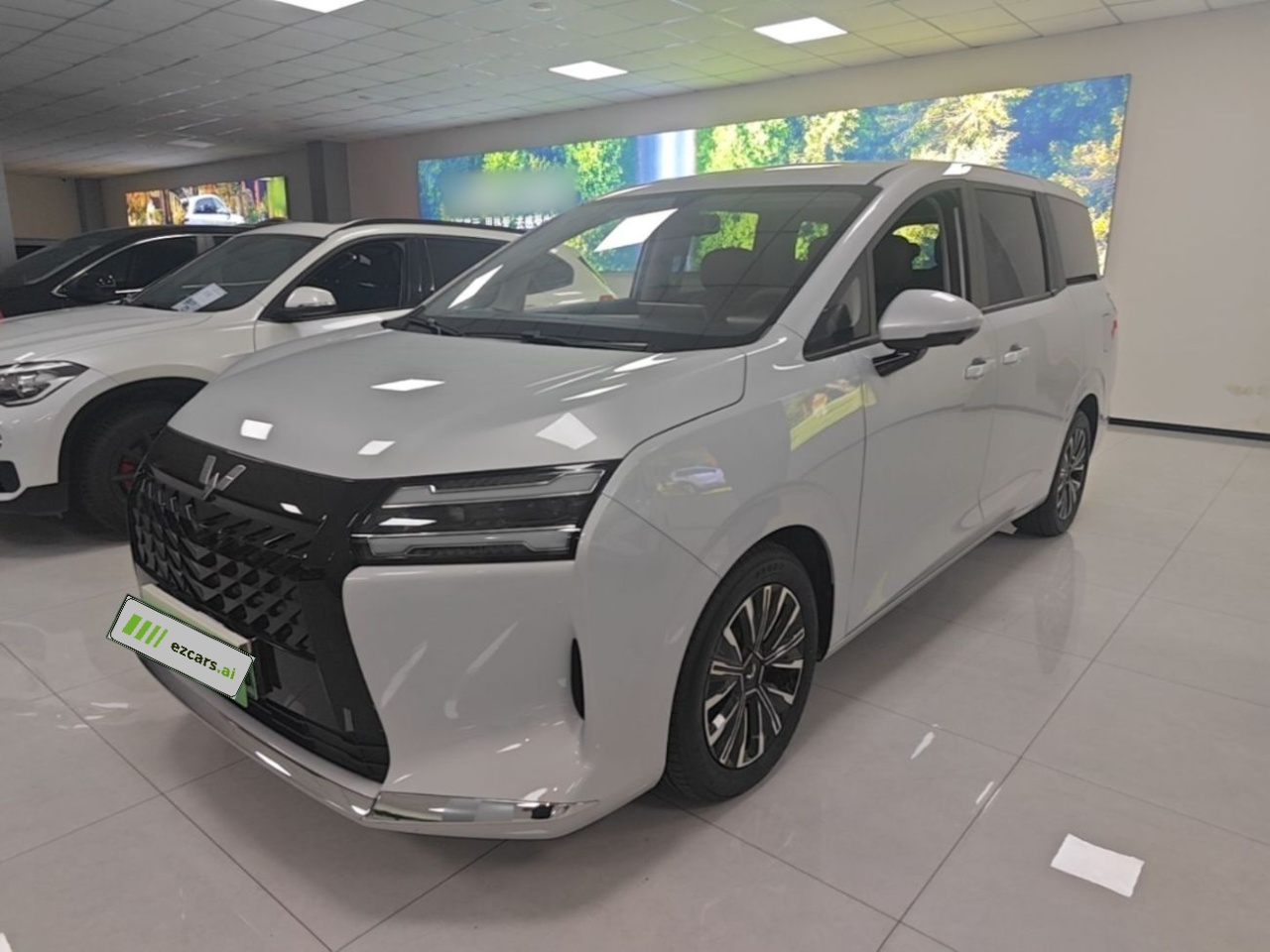 730 EV 2025 125km Luxury