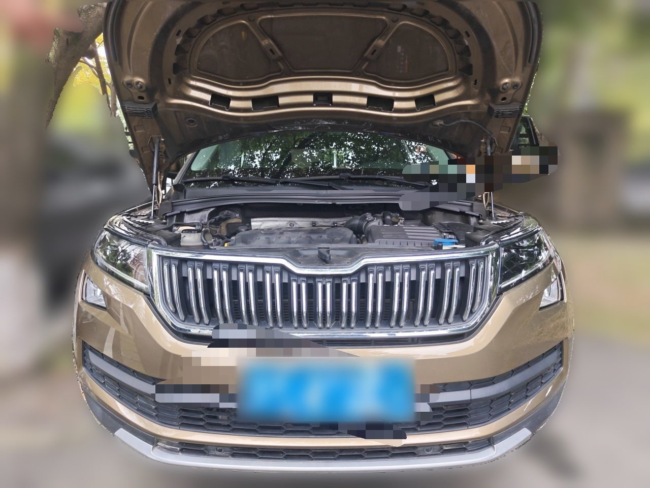 Kodiaq 2020 TSI330 7-Seater RWD Luxury Preferred photo 2