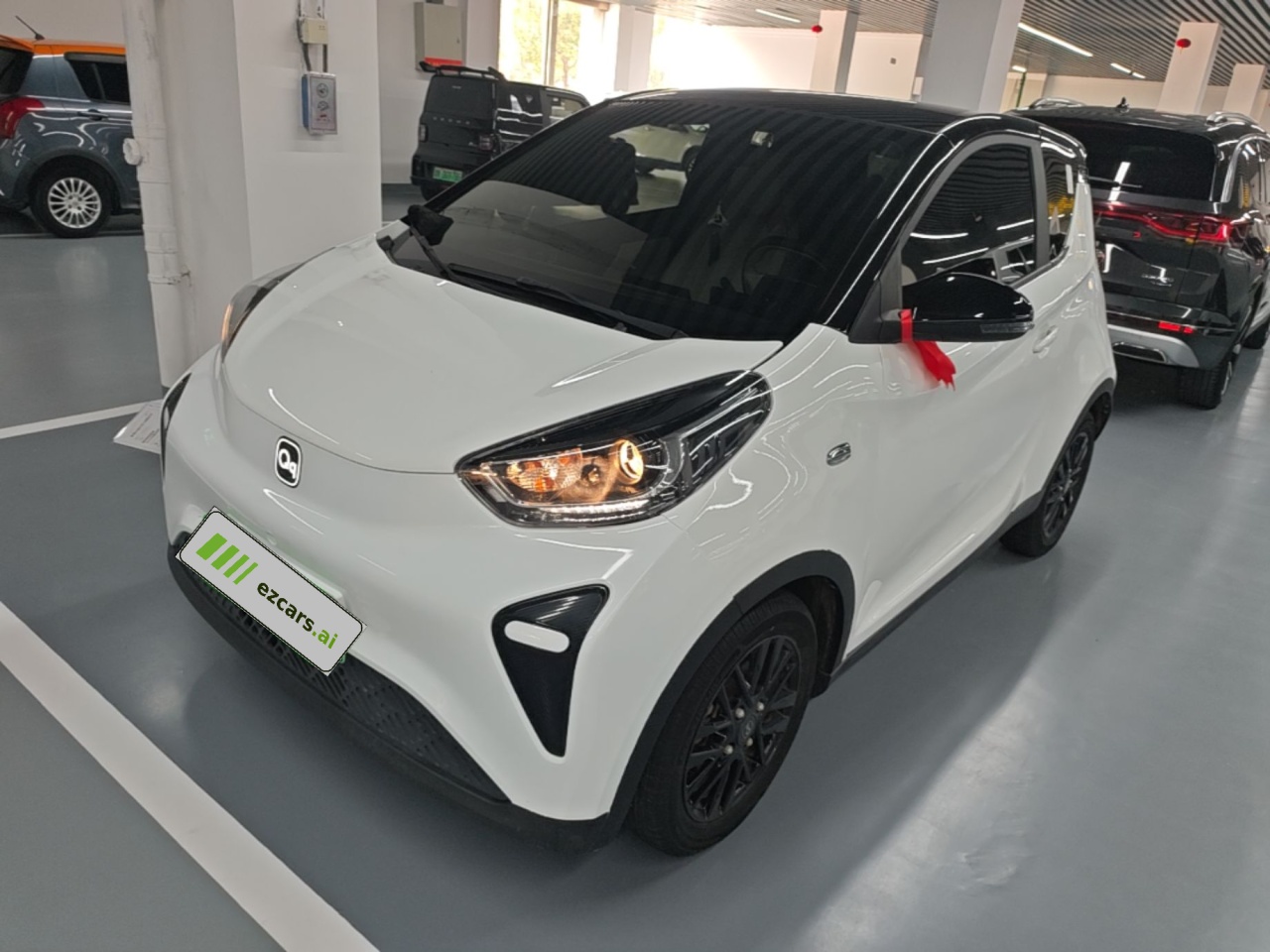 QQ Little Ant 2024 321km