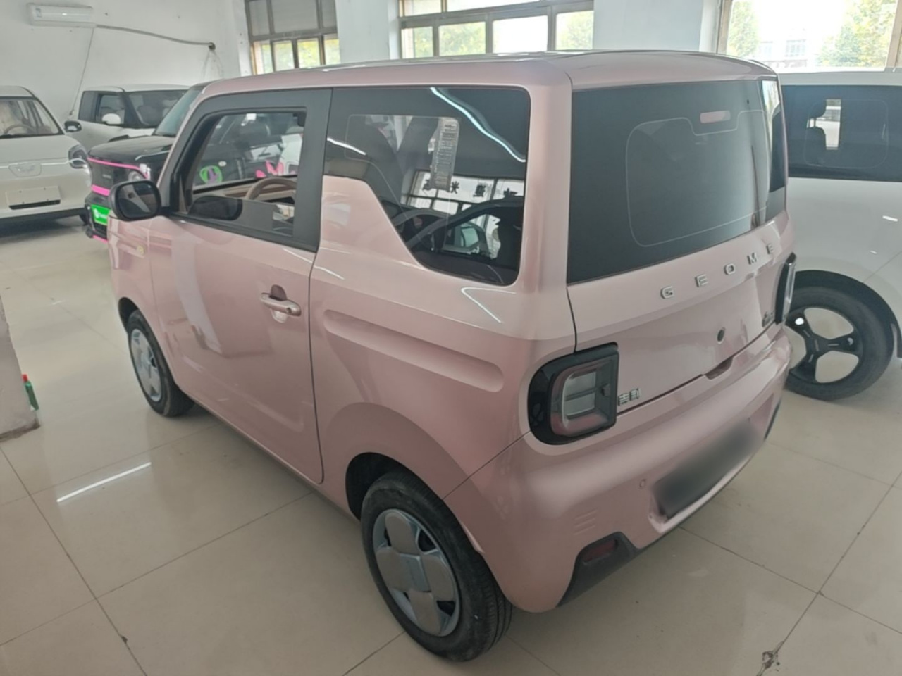 2023 Panda mini 200km Endurance Bear photo 4