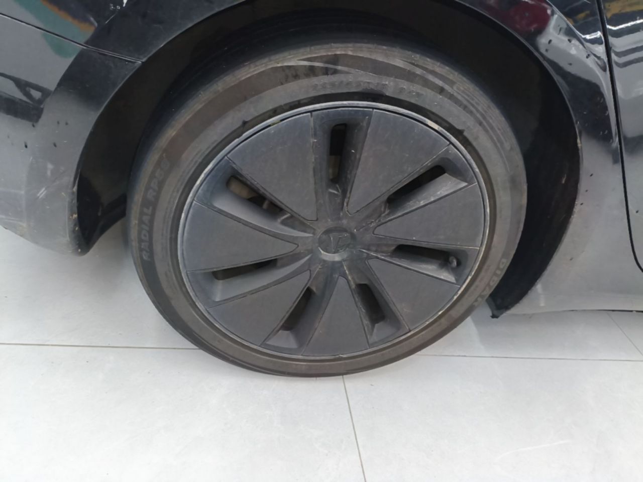 Model 3 2023 RWD photo 3