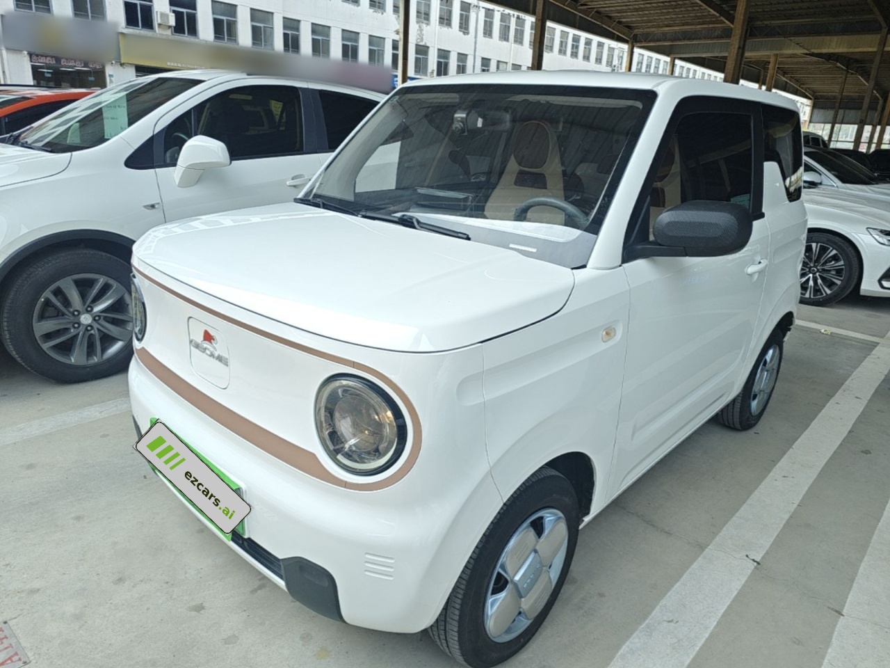 2024 Panda mini 200km Endurance Bear