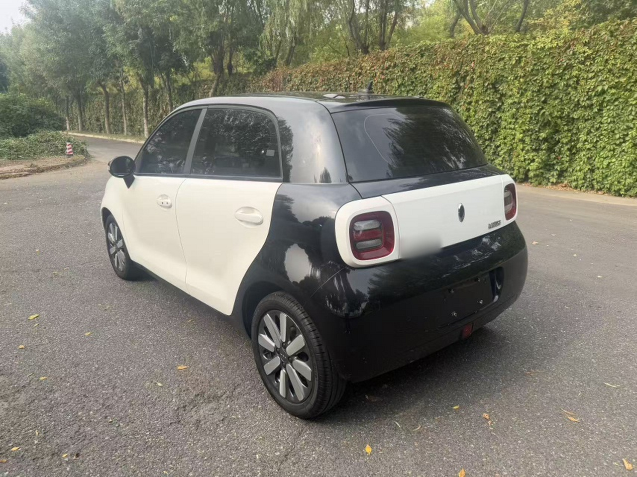 2021 351km Standard photo 3