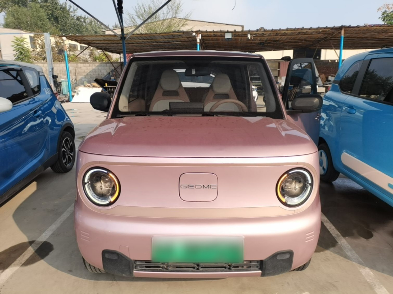 2023 Panda mini 200km Endurance Bear photo 2
