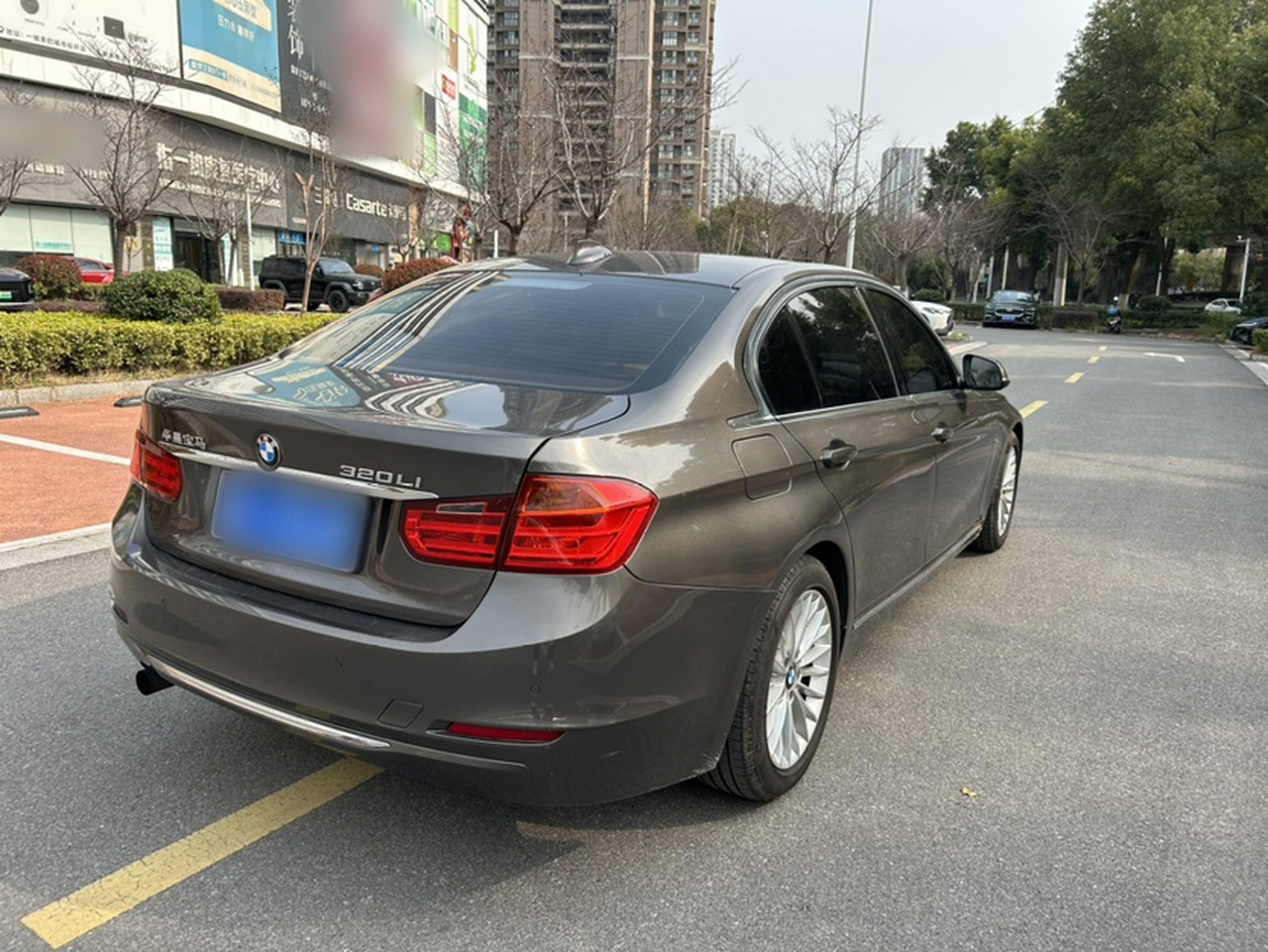 3 Series 2013 Facelift 320Li Luxury Design Package photo 4