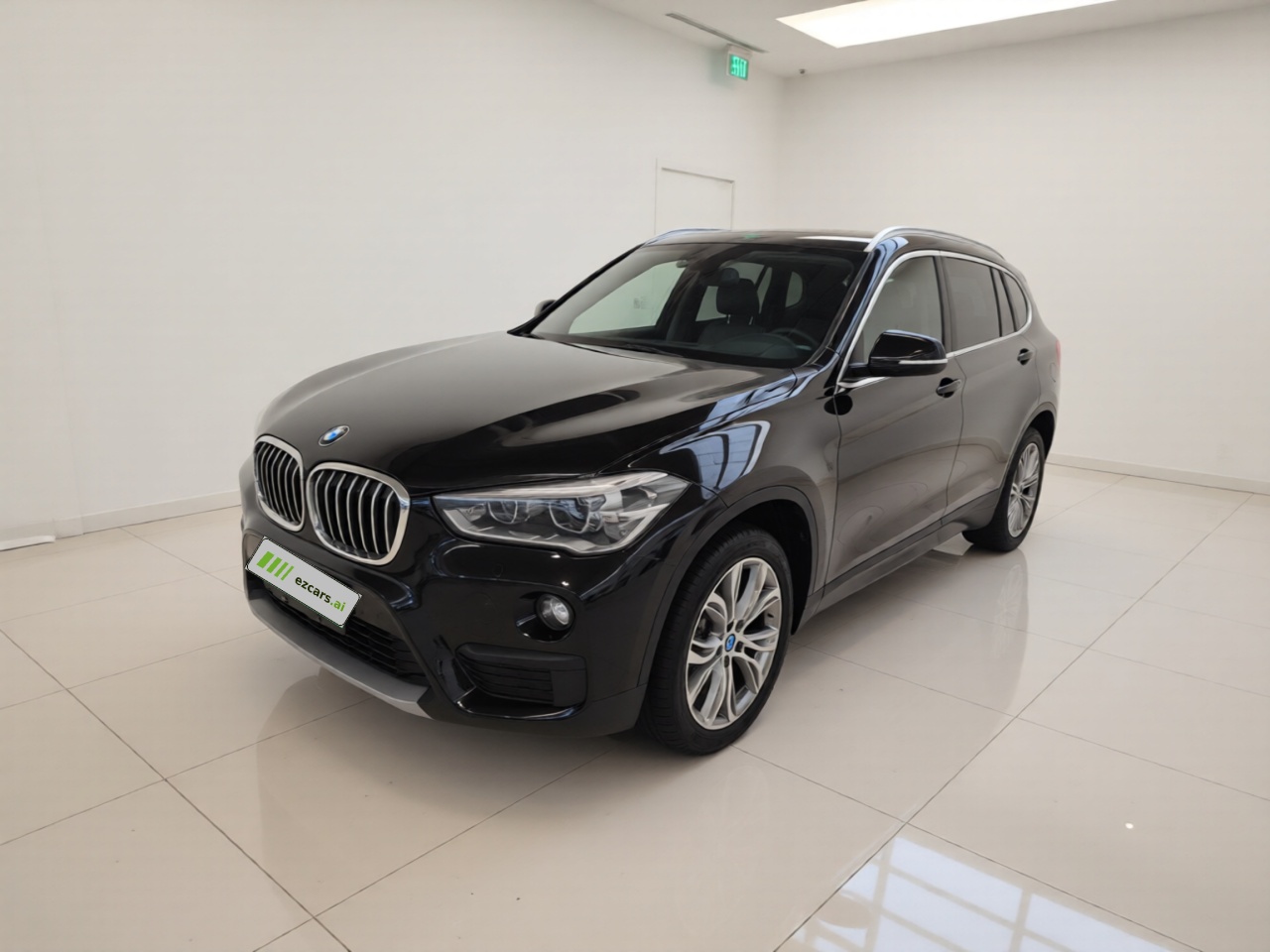 X1 2019 sDrive20Li Leading