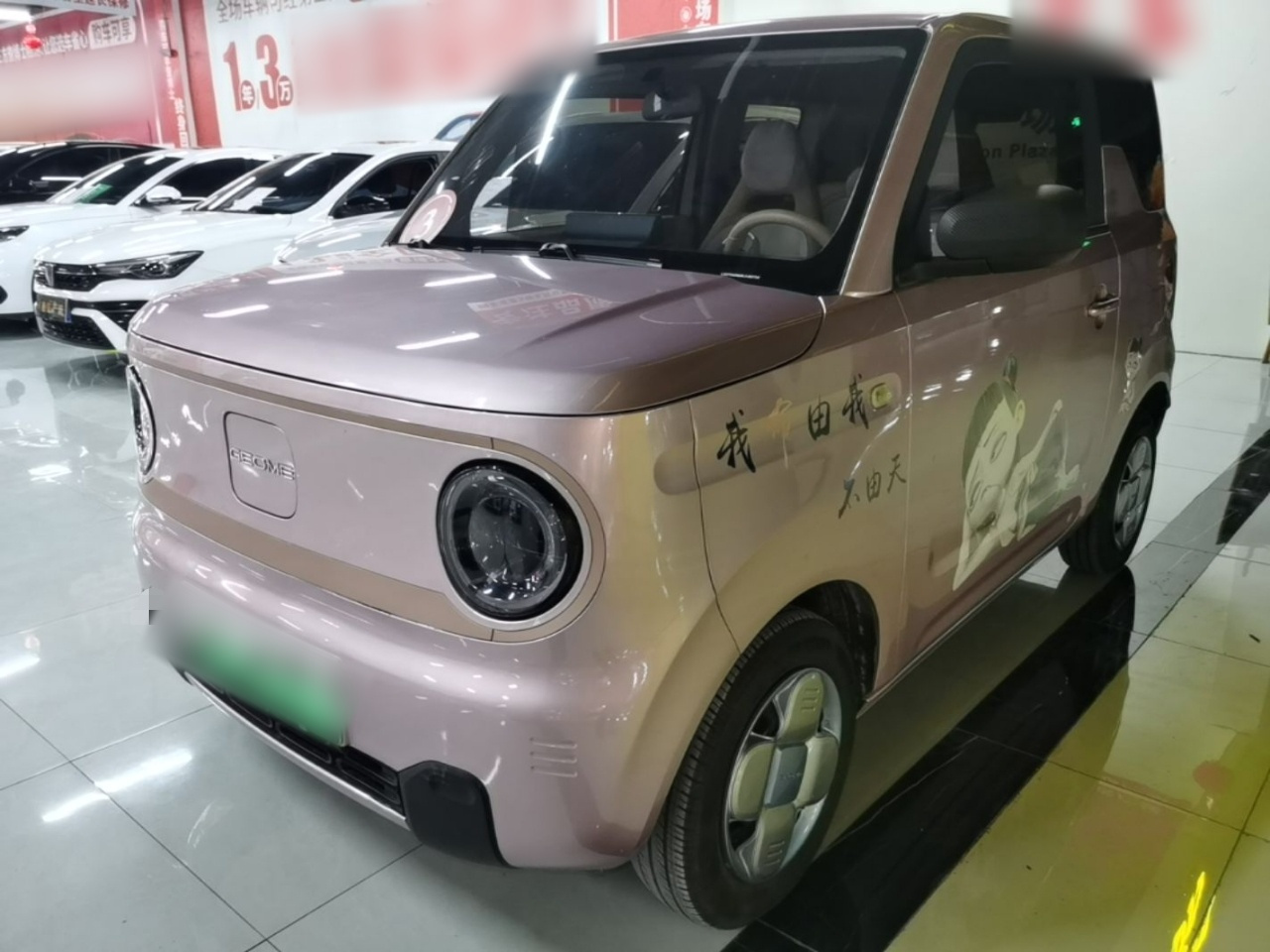 2024 Panda mini 200km Endurance Bear
