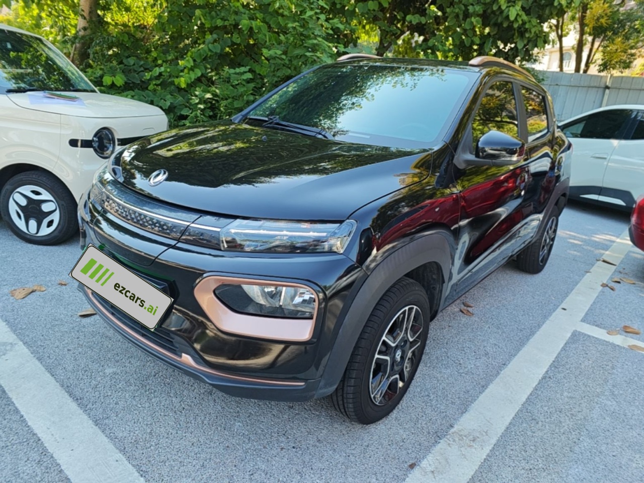 Nammi BOX 2022 201KM Advanced