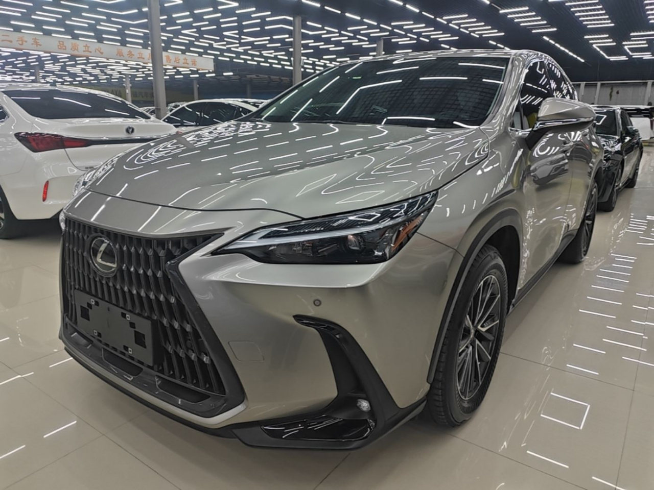 NX 2022 260 FWD