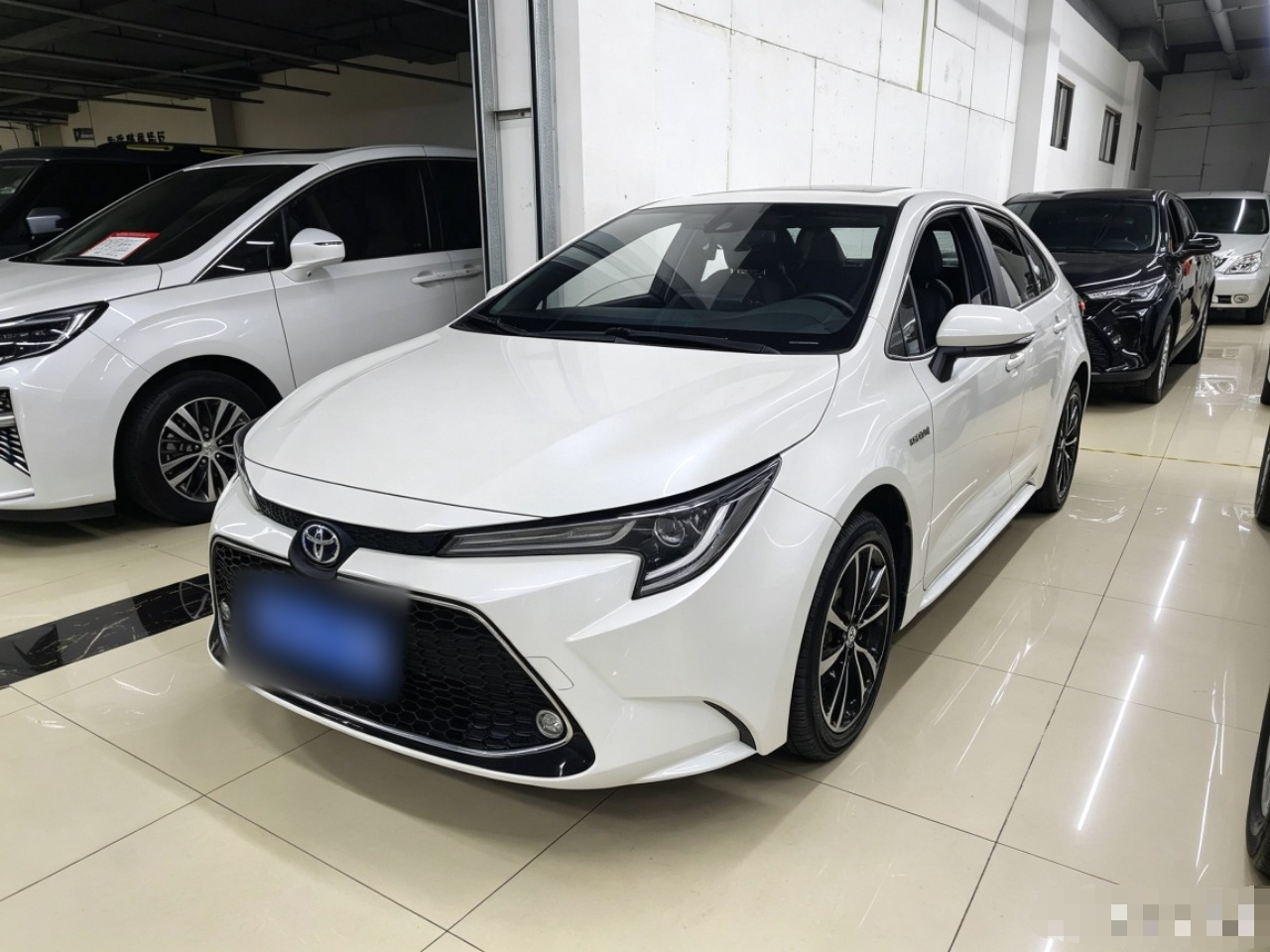 Levin 2019 Hybrid 1.8H E-CVT Sport China VI
