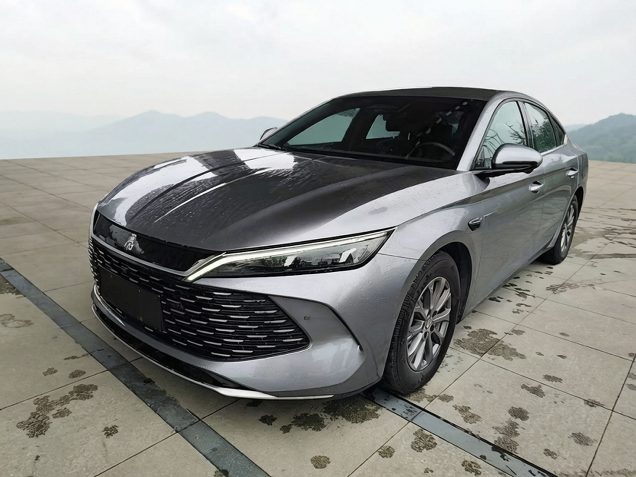 Qin L 2025 DM-i ADAS 80KM Leading