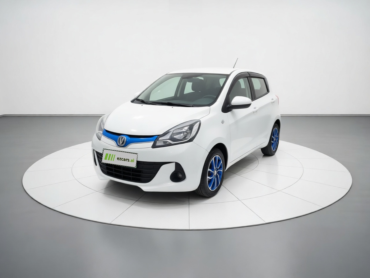 Benni EV 2019 EV360 Standard
