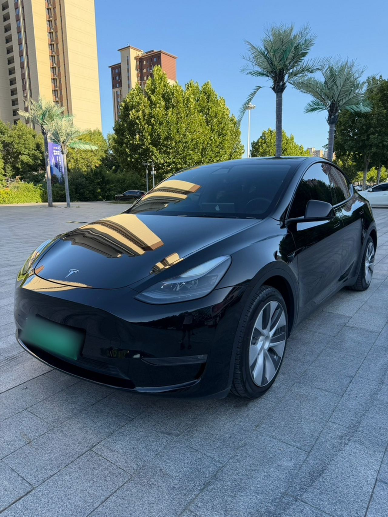 Model Y 2021 Standard Range RWD