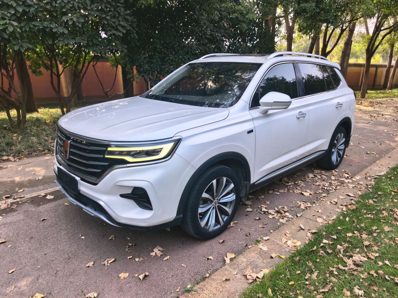 RX5 MAX 2019 300TGI AT 4G Luxury