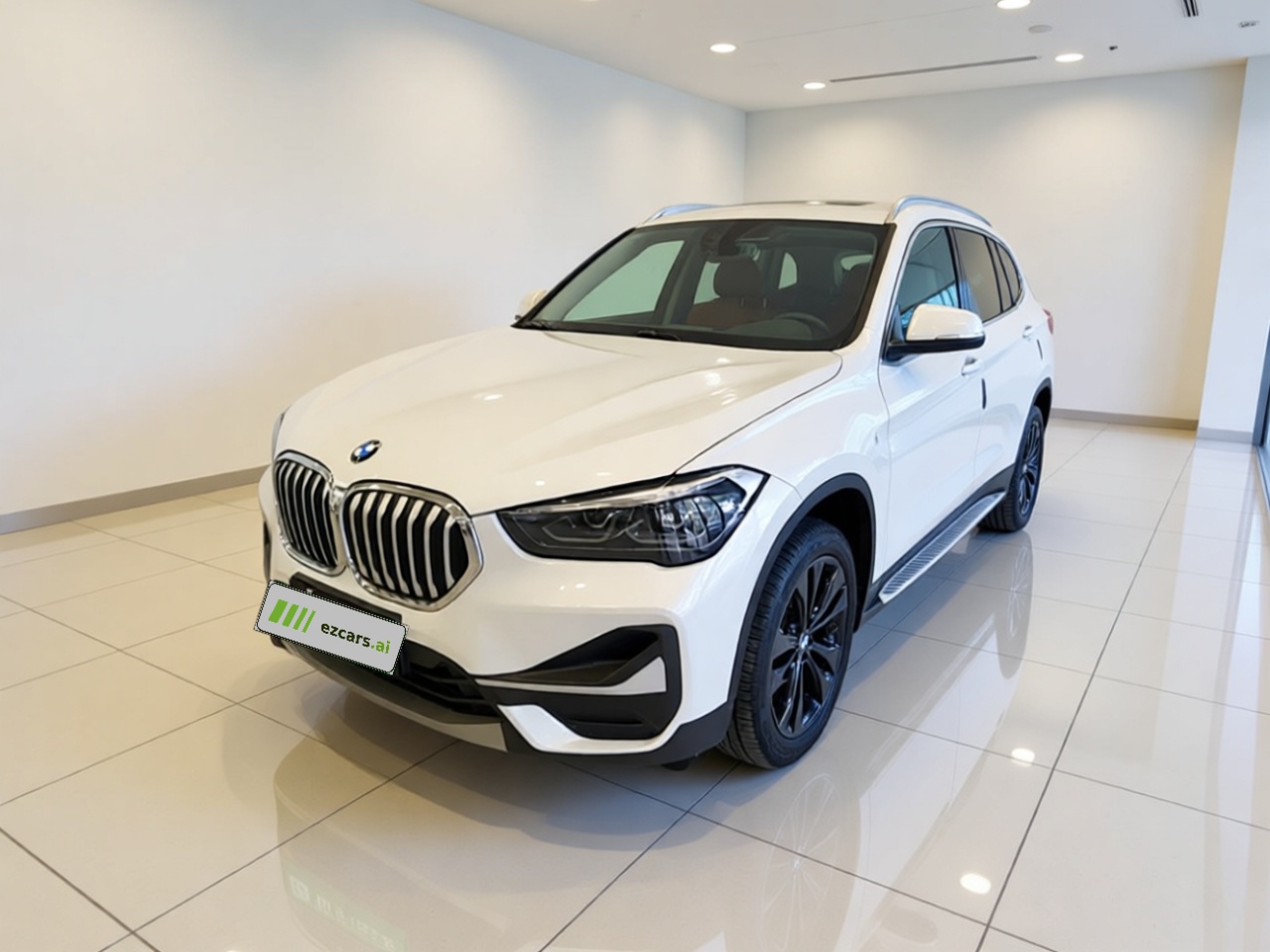 X1 2020 sDrive20Li Fashion