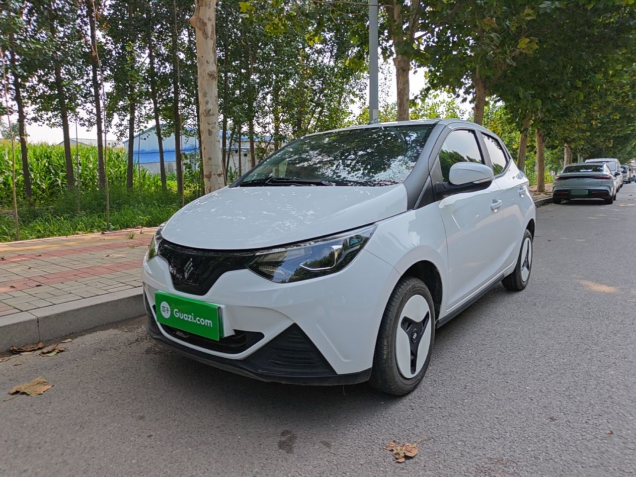 EV EV2 2024 201km Comfort