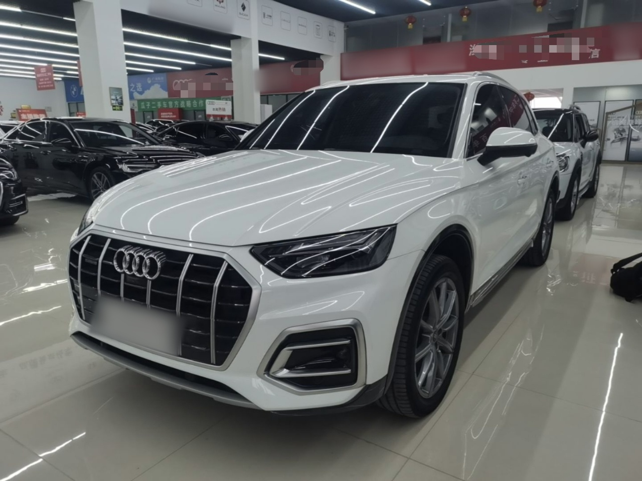 Q5L 2023 40T Luxury