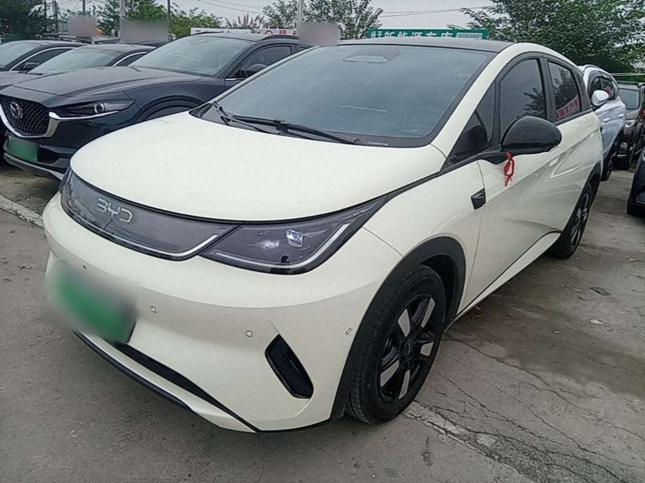 Dolphin 2025 ADAS 410km Fashion