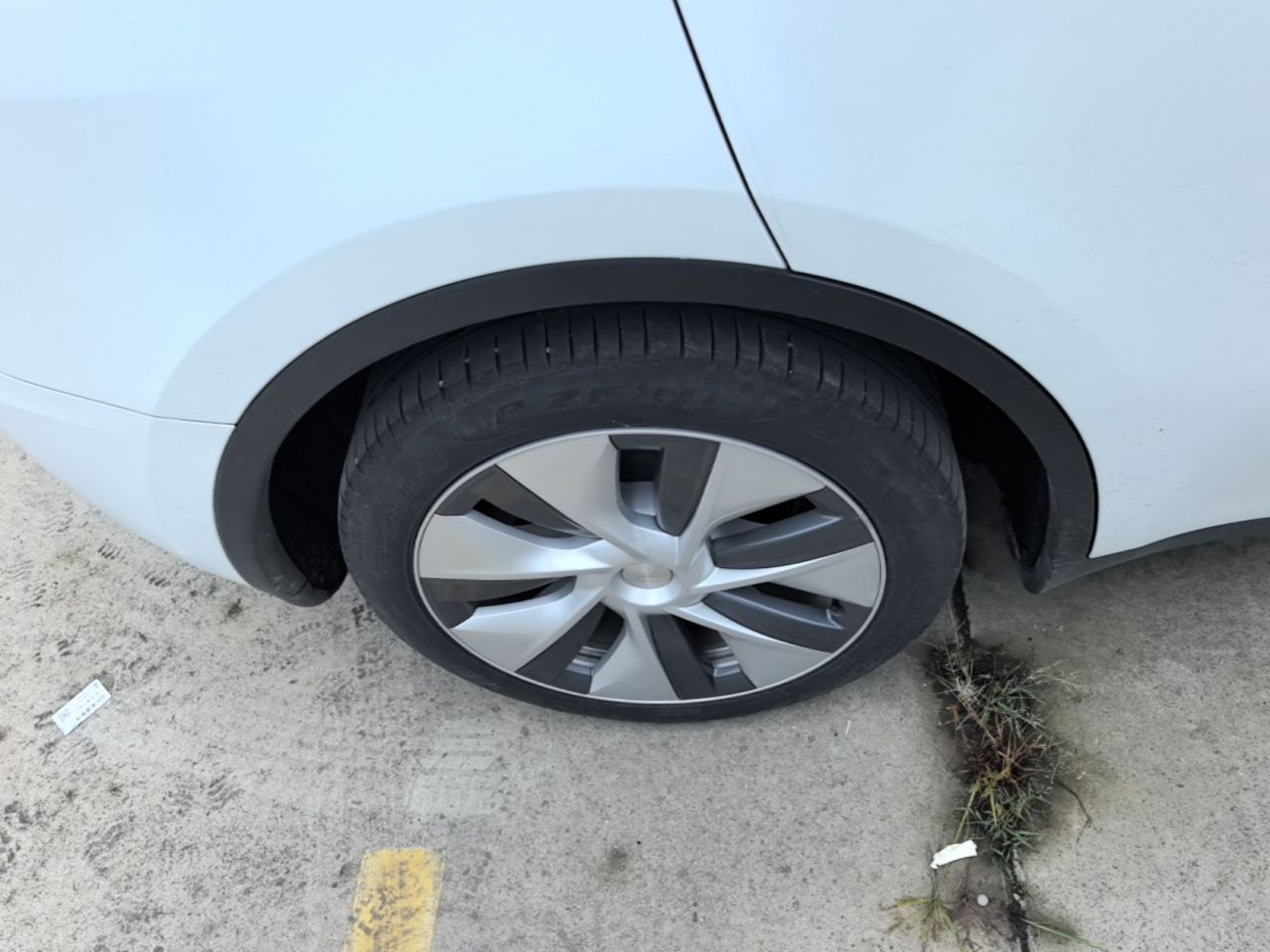 Model Y 2022 Facelift RWD photo 4
