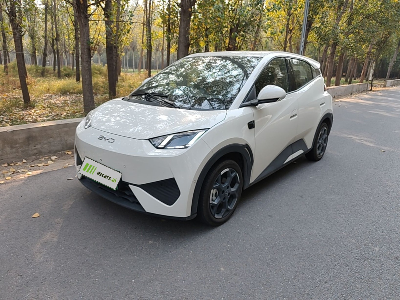 Seagull 2025 ADAS 305km