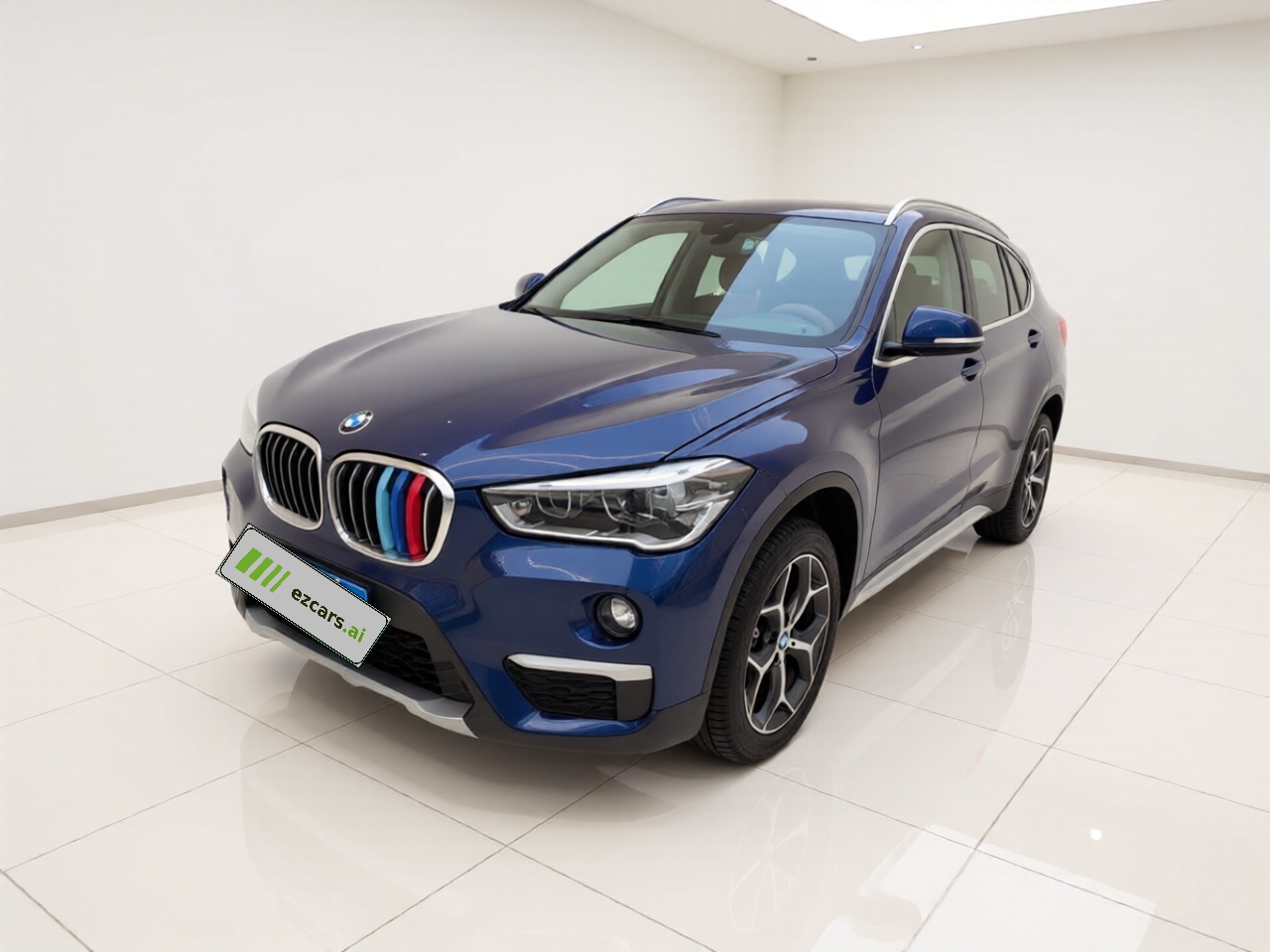 X1 2019 xDrive20Li Exclusive