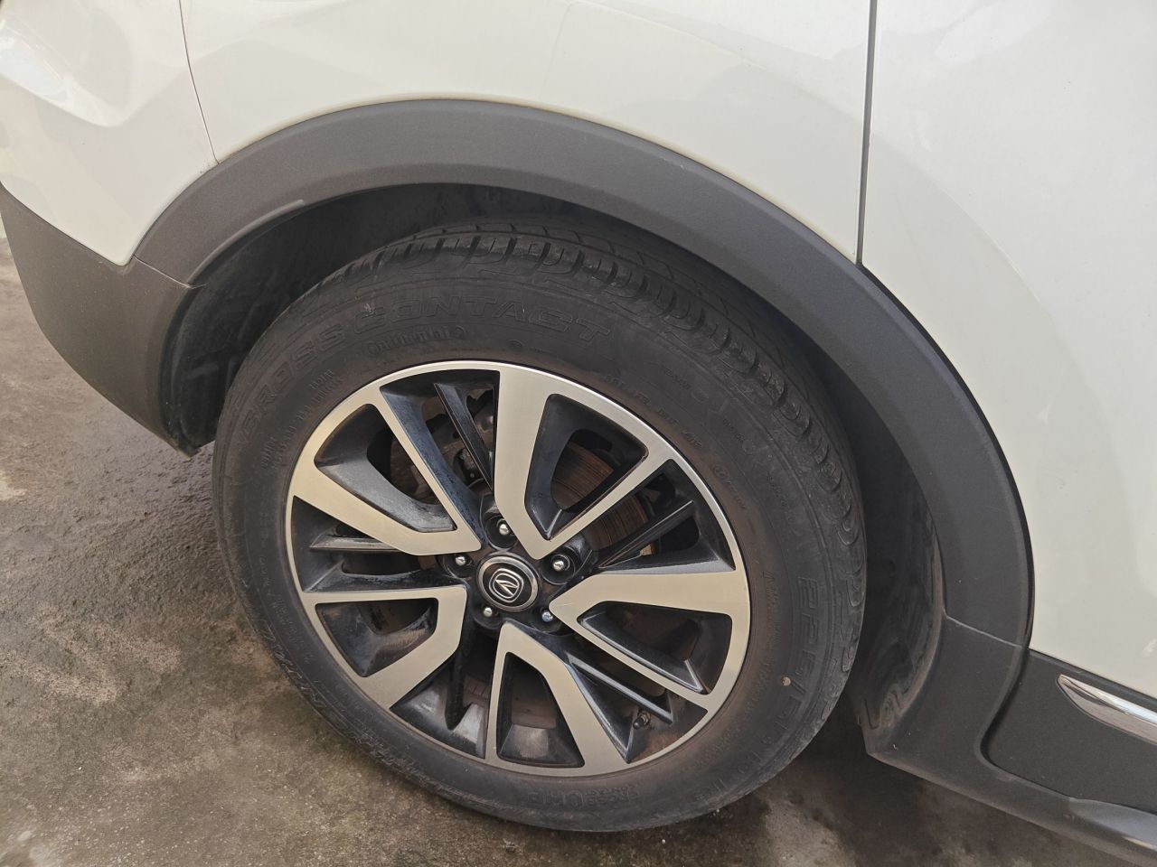 CS55 2018 1.5T AT China V photo 4