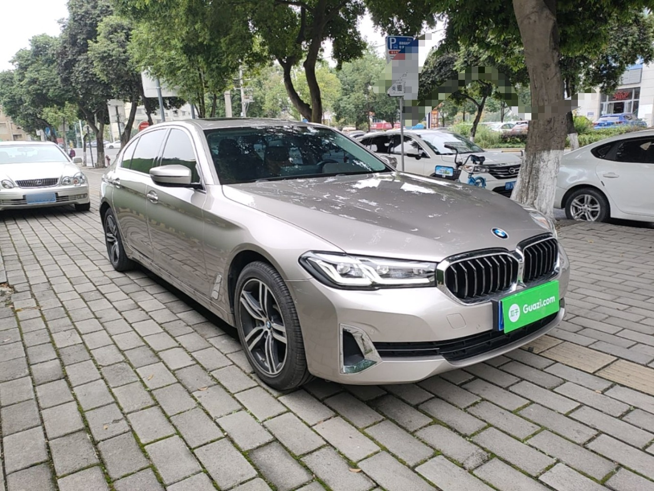 5 Series 2021 530Li Leading Luxury photo 3