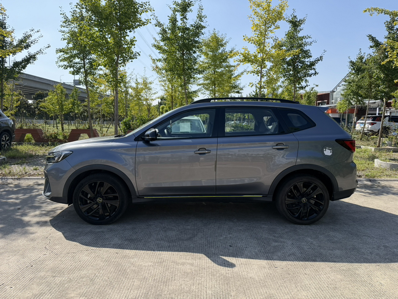 RX5 EV 2020 ePLUS Luxury photo 3
