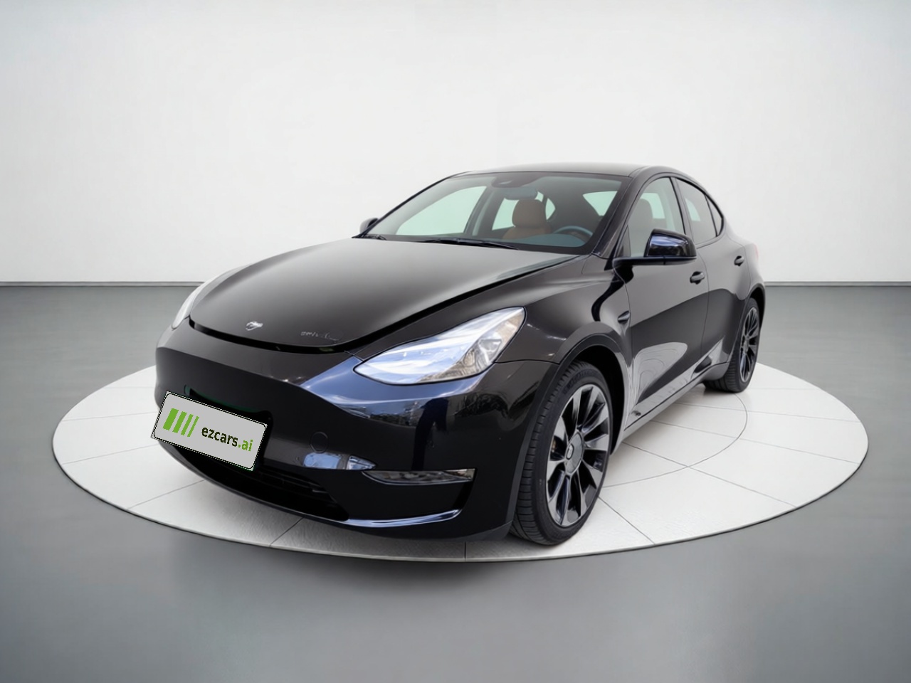Model Y 2021 Standard Range RWD