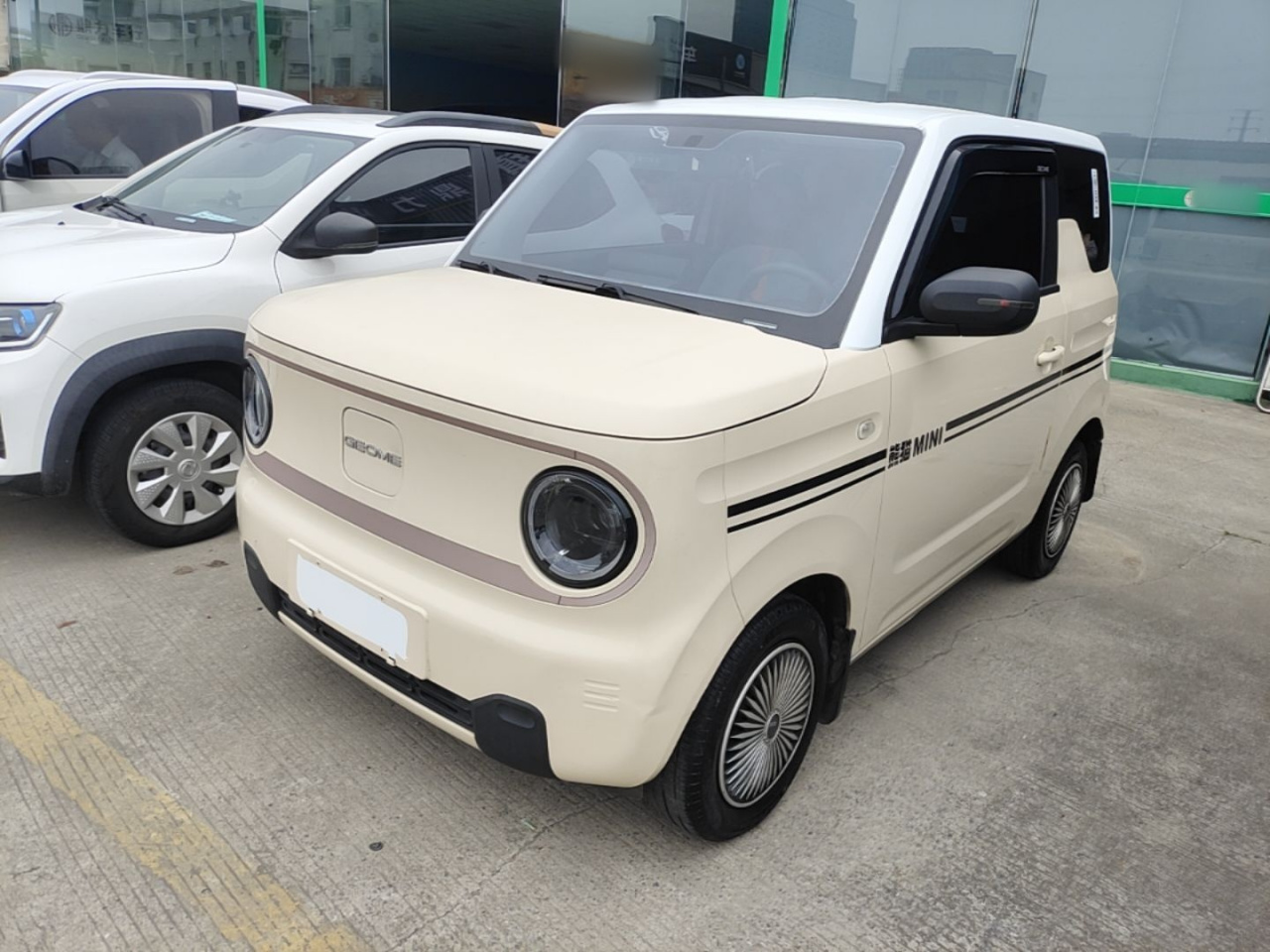 2023 Panda mini 200km Endurance Bear