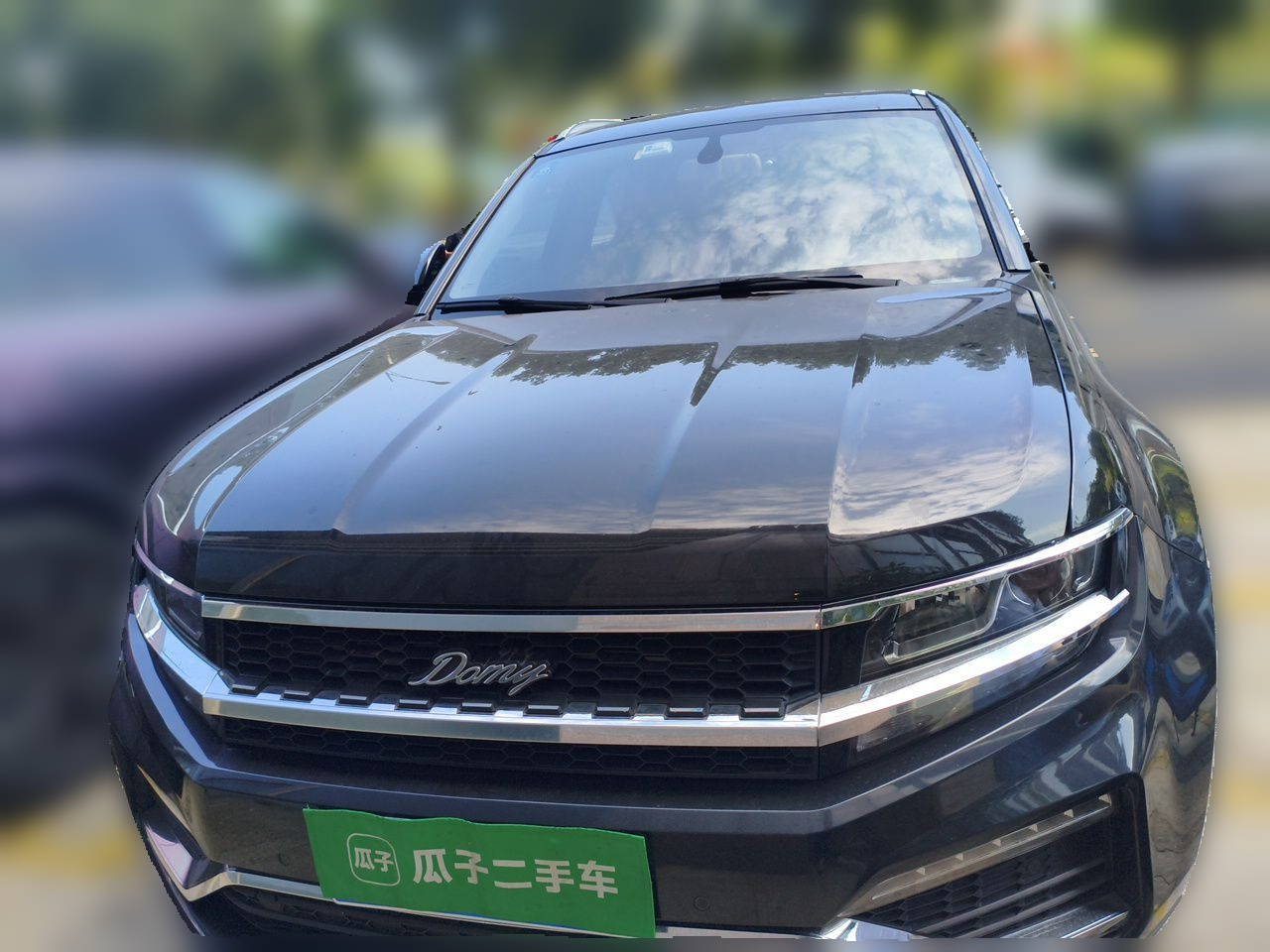 Domy X7 2018 2.0T AT Premium photo 2